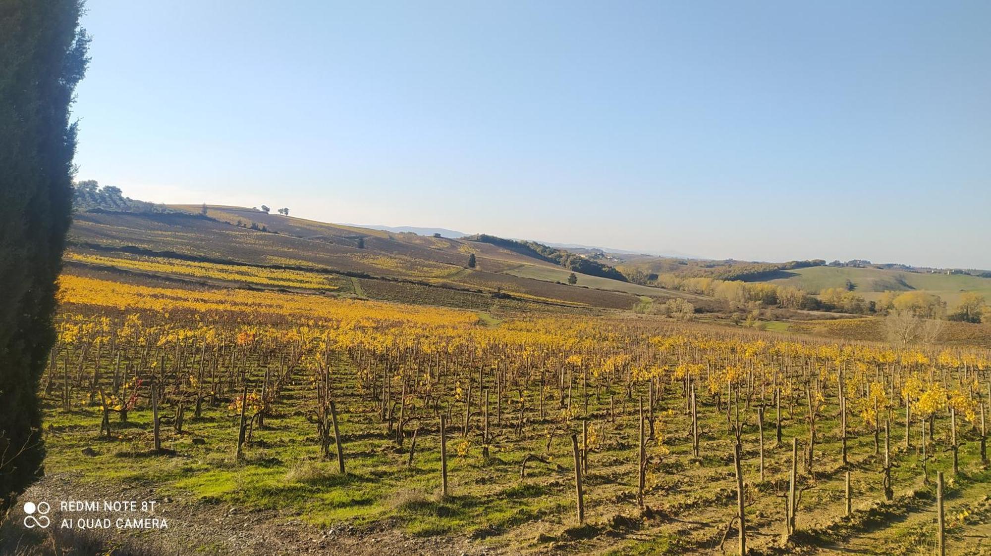 فيلا Casa Il Mandorlo Nel Chianti كاستيلّينا إنْ كْيانت المظهر الخارجي الصورة